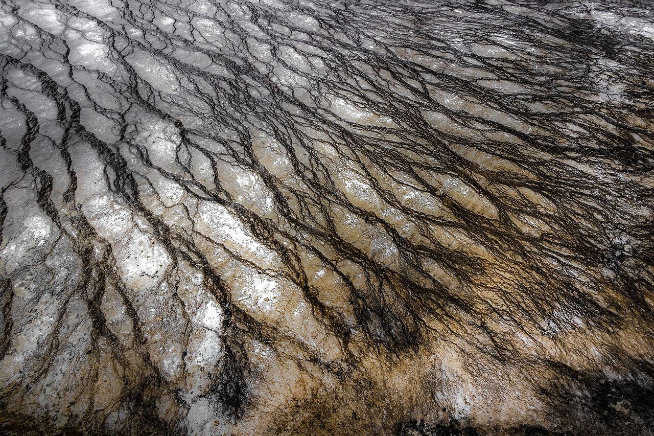 Paysage Yellowstone