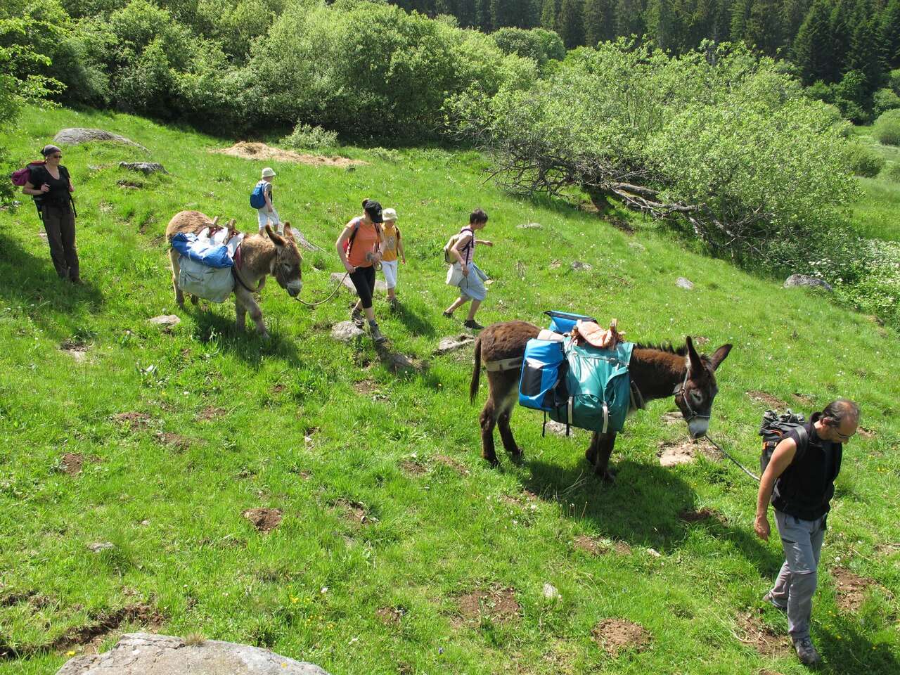 Randonneurs  avec des ânes