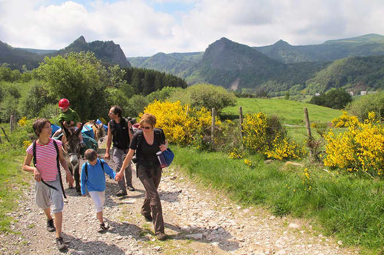 Randonneurs  avec des ânes