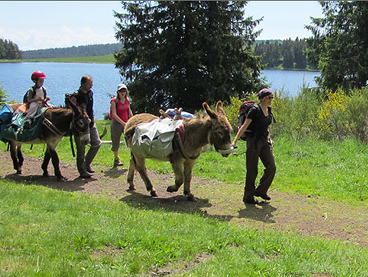 Randonneurs  avec des ânes