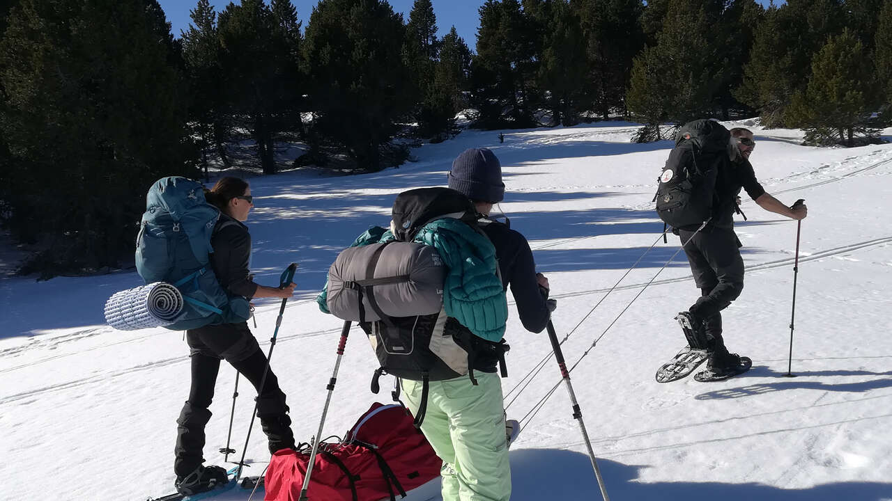 Randonneurs en raquettes et pulka