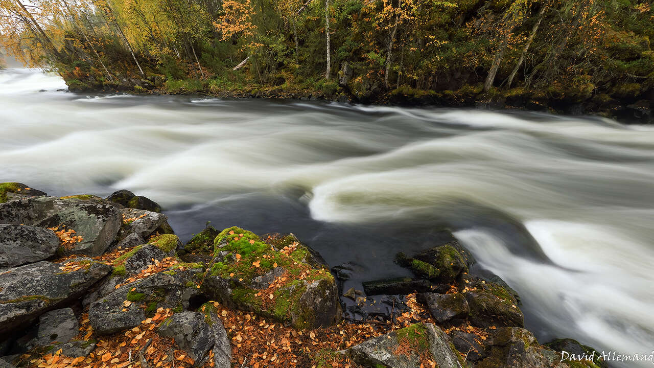 Rivière d'automne