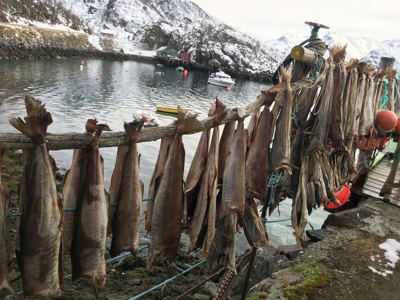 Séchage du poisson