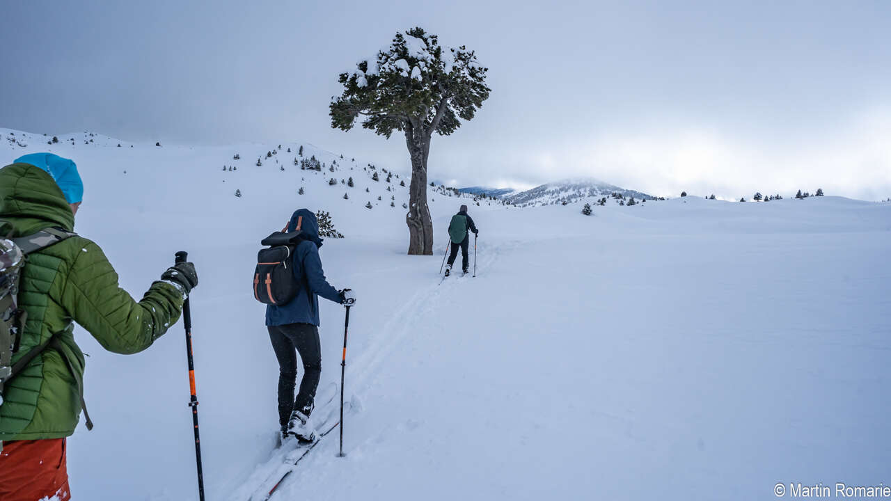 Skieur sur le plateau du Vercors