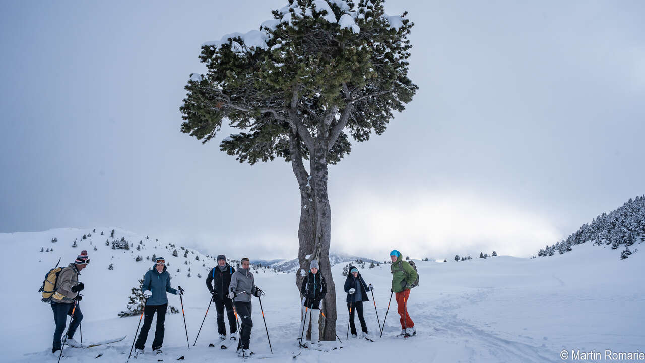 Skieur sur le plateau du Vercors