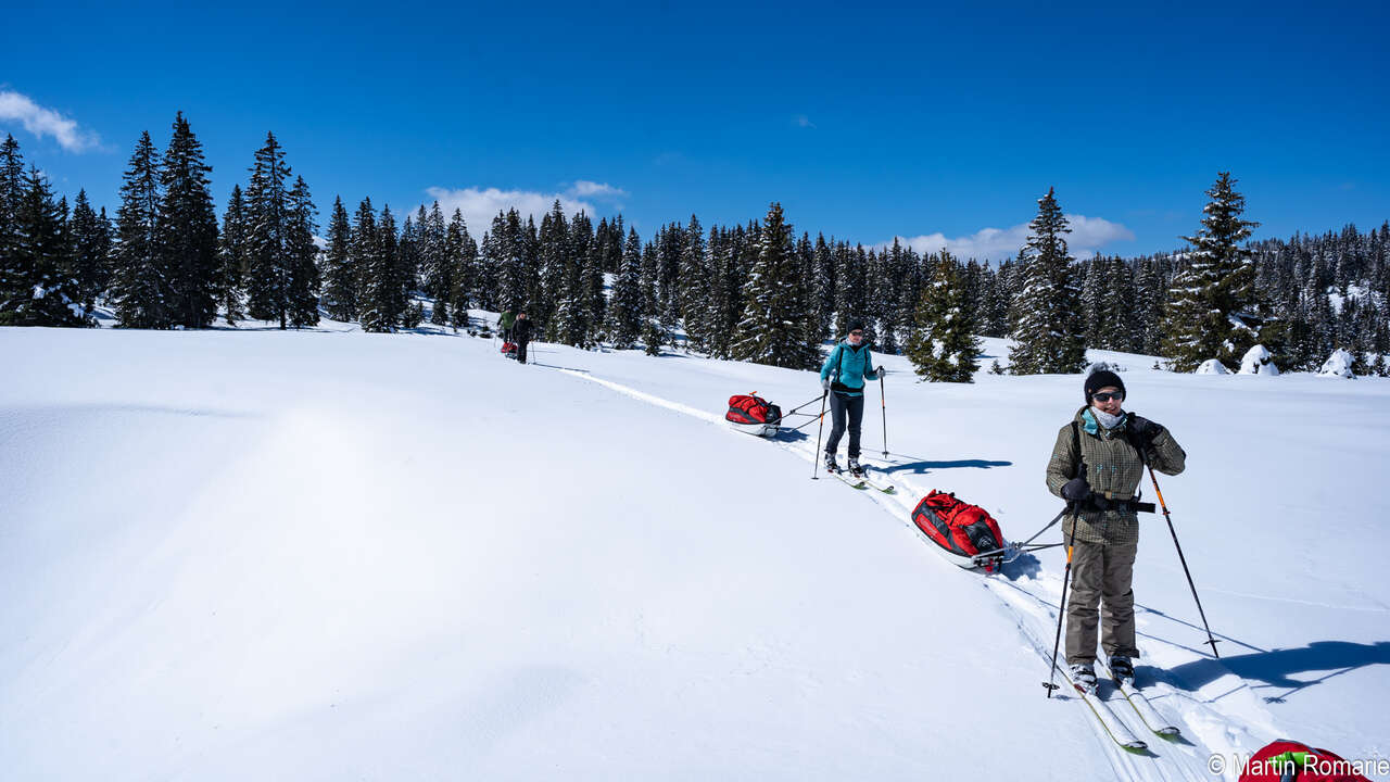 Skieurs et pulka dans la forêt