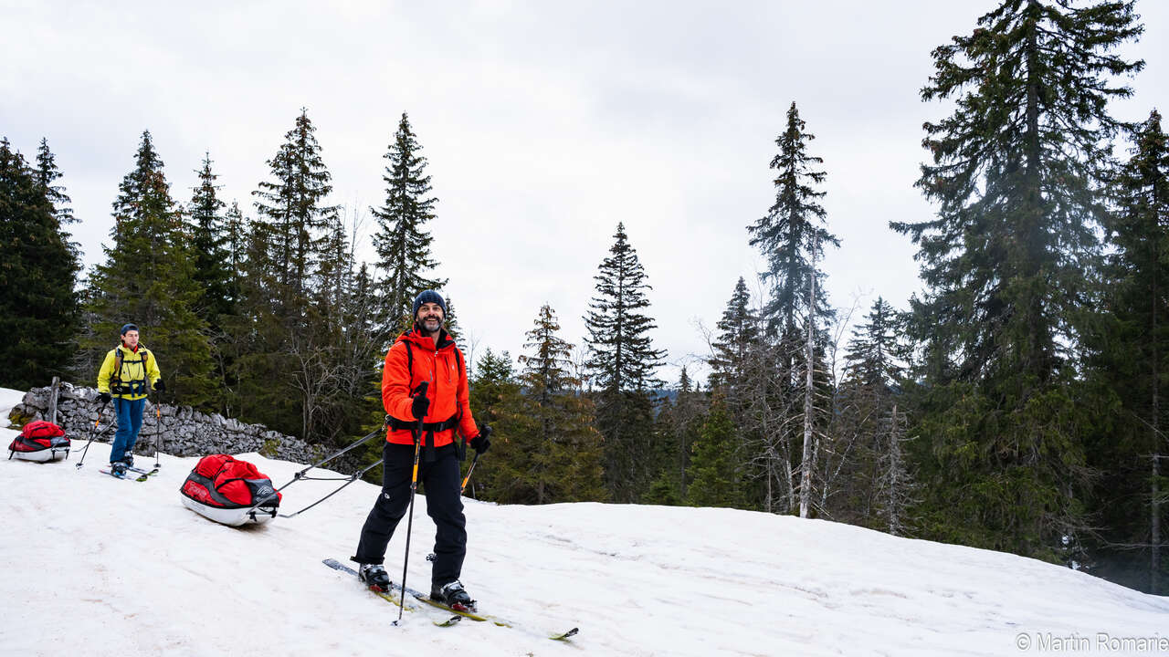 Skieurs et pulka dans la forêt