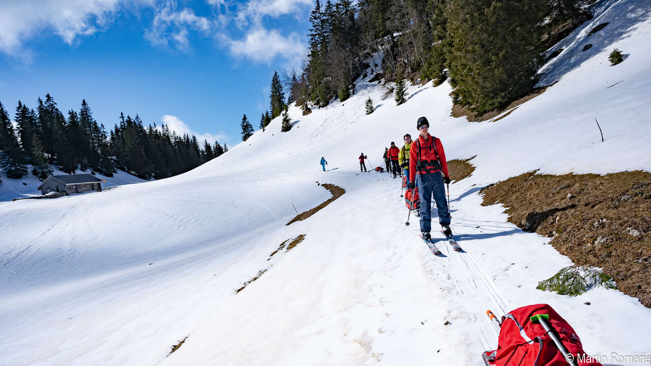 Skieurs et pulka dans la forêt