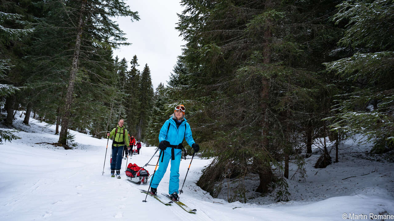 Skieurs et pulka dans la forêt