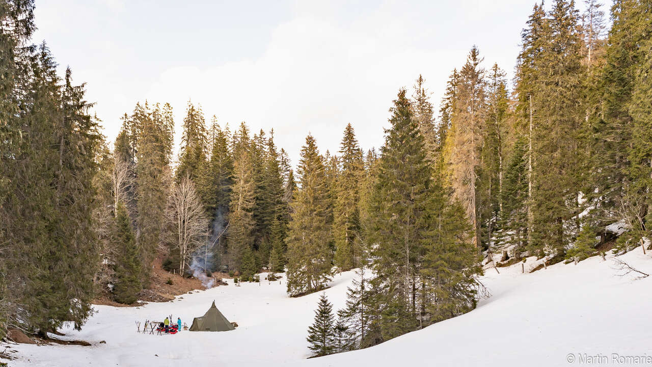 Tente au milieu de la forêt