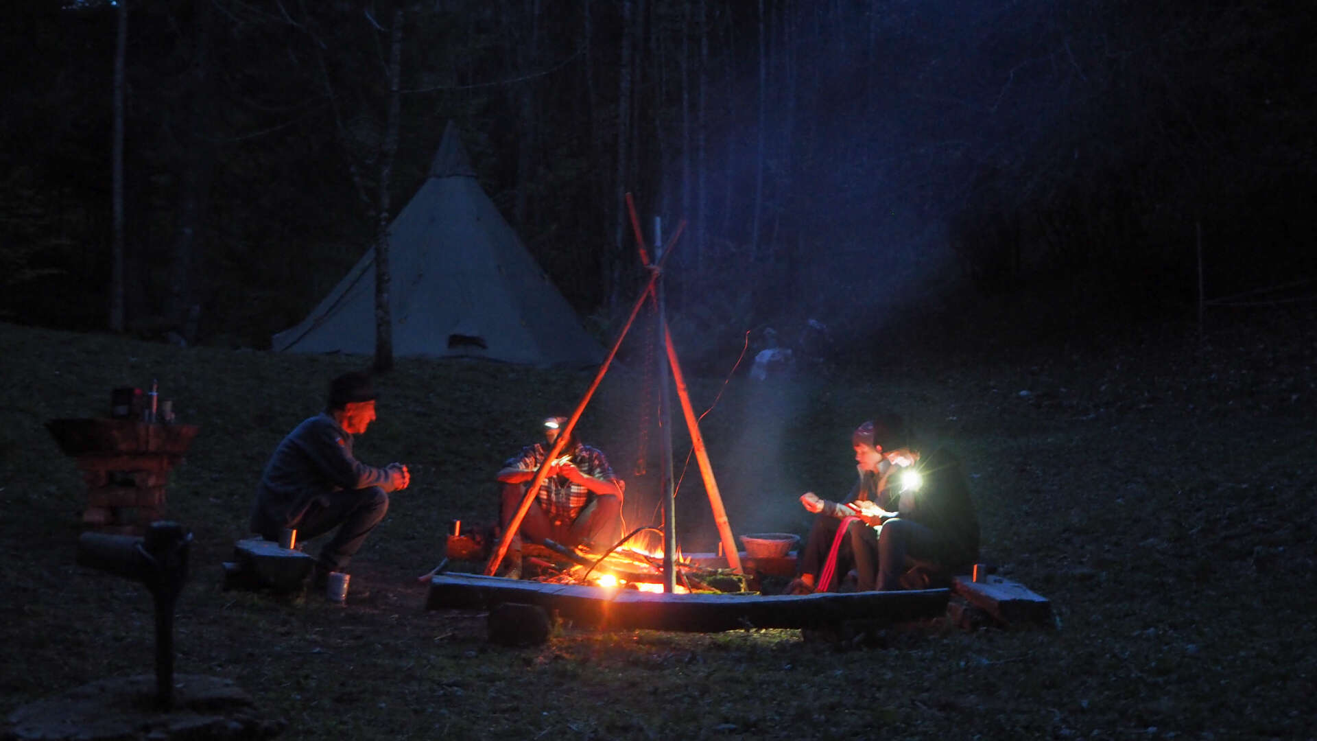 Feu de bois