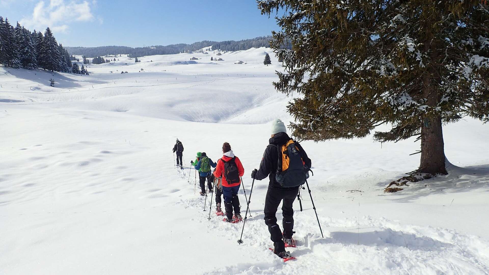 Marcheur en raquette dans la neige