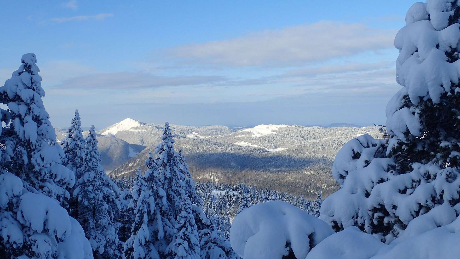 Paysage enneigé de montagne