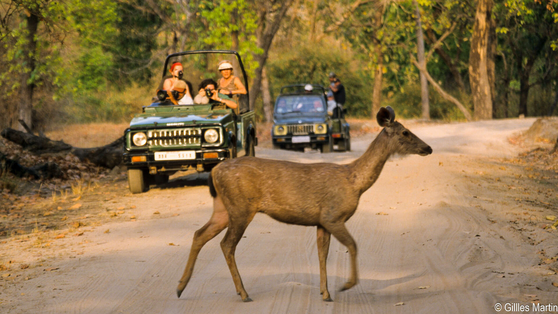 Sambar