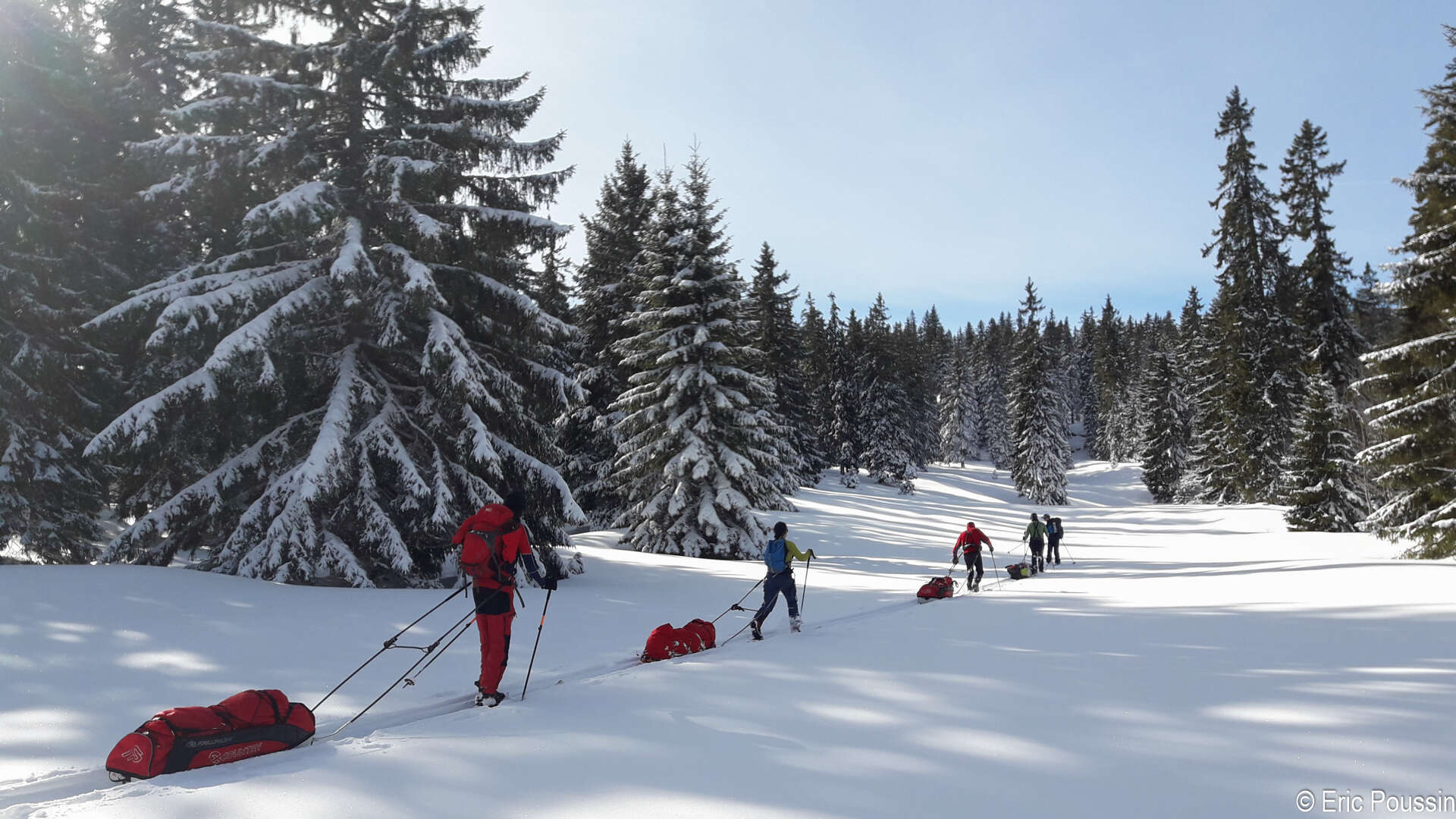 Skieurs et pulka dans la forêt